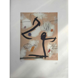 Joan Miro Litografia offsetowa 56x76 cm certyfikowana