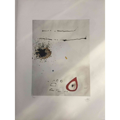 Joan Miro Litografia off set 56x76 cm certificat