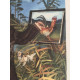 Antonio Ligabue lithographie hors set 50x70 cm