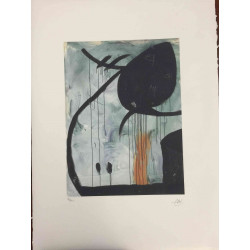 Joan Miro 56x76 cm-ko ziurtagiria