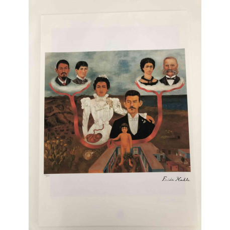 Frida Khalo Litografia off set cm 50x70  certificata