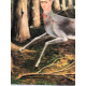 Frida Khalo Off set lithograph cm 50x70 certified