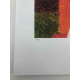 Frida Khalo Off set lithograph cm 50x70 certified