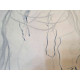 Gustav Klimt Litografia off set 50x70 cm certificat