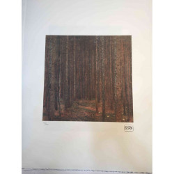 Gustav Klimt Lithograph off set 50x70 cm certified