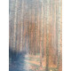 Gustav Klimt Lithograph off set 50x70 cm certified