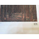 Gustav Klimt Lithograph off set 50x70 cm certified
