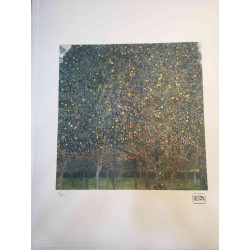 Set de litografia Gustav Klimt 50x70 cm certificat