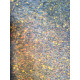 Set de litografia Gustav Klimt 50x70 cm certificat