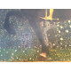 Gustav Klimt Litografia off set cm 50x70  certificata