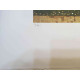 Gustav Klimt Litografia off set cm 50x70  certificata