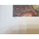 Gustav Klimt Litografia off set cm 50x70  certificata