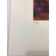 Set de litografia Max Ernst 50x70 cm certificat