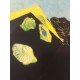Litografía Max Ernst off set 50x70 cm certificada