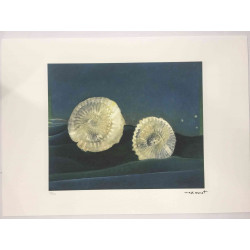 Offset litograficzny Max Ernst z certyfikatem 50x70 cm