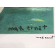 Max Ernst Off set lithograph cm 50x70 certified