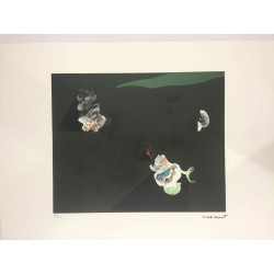 Litografická ofsetová souprava Max Ernst certifikovaná 50x70 cm