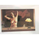Set de litografia de Mel Ramos 57x38 cm certificat