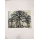 Pieter Cornelis Mondriaan 50x65 cm-ko off-set litografia ziurtagiria