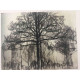 Pieter Cornelis Mondriaan 50x65 cm-ko off-set litografia ziurtagiria