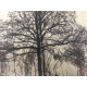 Pieter Cornelis Mondriaan 50x65 cm-ko off-set litografia ziurtagiria