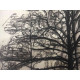 Pieter Cornelis Mondriaan 50x65 cm-ko off-set litografia ziurtagiria