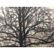 Pieter Cornelis Mondriaan 50x65 cm-ko off-set litografia ziurtagiria