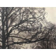Pieter Cornelis Mondriaan 50x65 cm-ko off-set litografia ziurtagiria