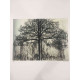 Pieter Cornelis Mondriaan 50x65 cm-ko off-set litografia ziurtagiria