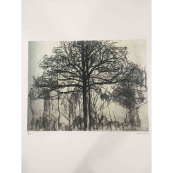 Pieter Cornelis Mondriaan 50x65 cm-ko off-set litografia ziurtagiria