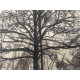 Pieter Cornelis Mondriaan 50x65 cm-ko off-set litografia ziurtagiria