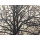 Pieter Cornelis Mondriaan 50x65 cm-ko off-set litografia ziurtagiria