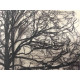 Pieter Cornelis Mondriaan 50x65 cm-ko off-set litografia ziurtagiria