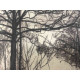 Pieter Cornelis Mondriaan 50x65 cm-ko off-set litografia ziurtagiria
