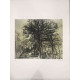 Pieter Cornelis Mondriaan 50x65 cm-ko off-set litografia ziurtagiria