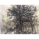 Pieter Cornelis Mondriaan 50x65 cm-ko off-set litografia ziurtagiria