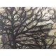 Pieter Cornelis Mondriaan 50x65 cm-ko off-set litografia ziurtagiria