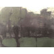 Pieter Cornelis Mondriaan 50x65 cm-ko off-set litografia ziurtagiria