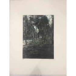 Pieter Cornelis Mondriaan 50x65 cm-ko off-set litografia ziurtagiria