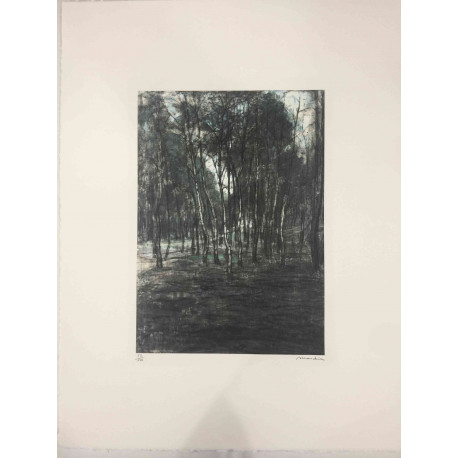 Pieter Cornelis Mondriaan 50x65 cm-ko off-set litografia ziurtagiria