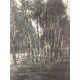Pieter Cornelis Mondriaan 50x65 cm-ko off-set litografia ziurtagiria
