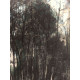 Pieter Cornelis Mondriaan 50x65 cm-ko off-set litografia ziurtagiria