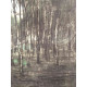 Pieter Cornelis Mondriaan 50x65 cm-ko off-set litografia ziurtagiria