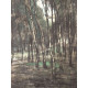 Pieter Cornelis Mondriaan 50x65 cm-ko off-set litografia ziurtagiria