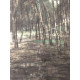 Pieter Cornelis Mondriaan 50x65 cm-ko off-set litografia ziurtagiria