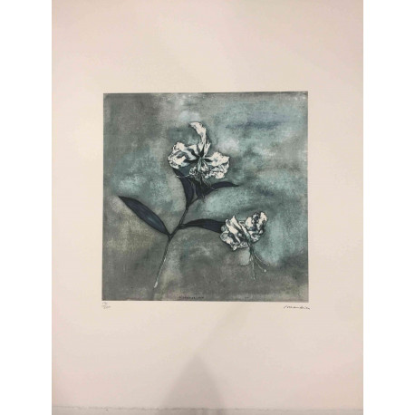 Pieter Cornelis Mondriaan 50x65 cm-ko off-set litografia ziurtagiria