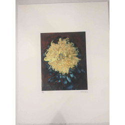 Pieter Cornelis Mondriaan 50x65 cm-ko off-set litografia ziurtagiria