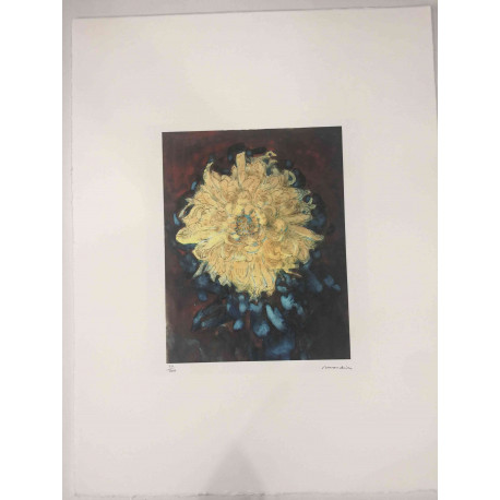 Pieter Cornelis Mondriaan 50x65 cm-ko off-set litografia ziurtagiria