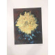 Pieter Cornelis Mondriaan 50x65 cm-ko off-set litografia ziurtagiria