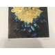 Pieter Cornelis Mondriaan 50x65 cm-ko off-set litografia ziurtagiria